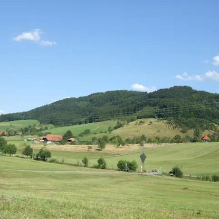 Sonniges-Naturnahes-Schwarzwald-Ferienhaeuschen Welschensteinach Exterior photo