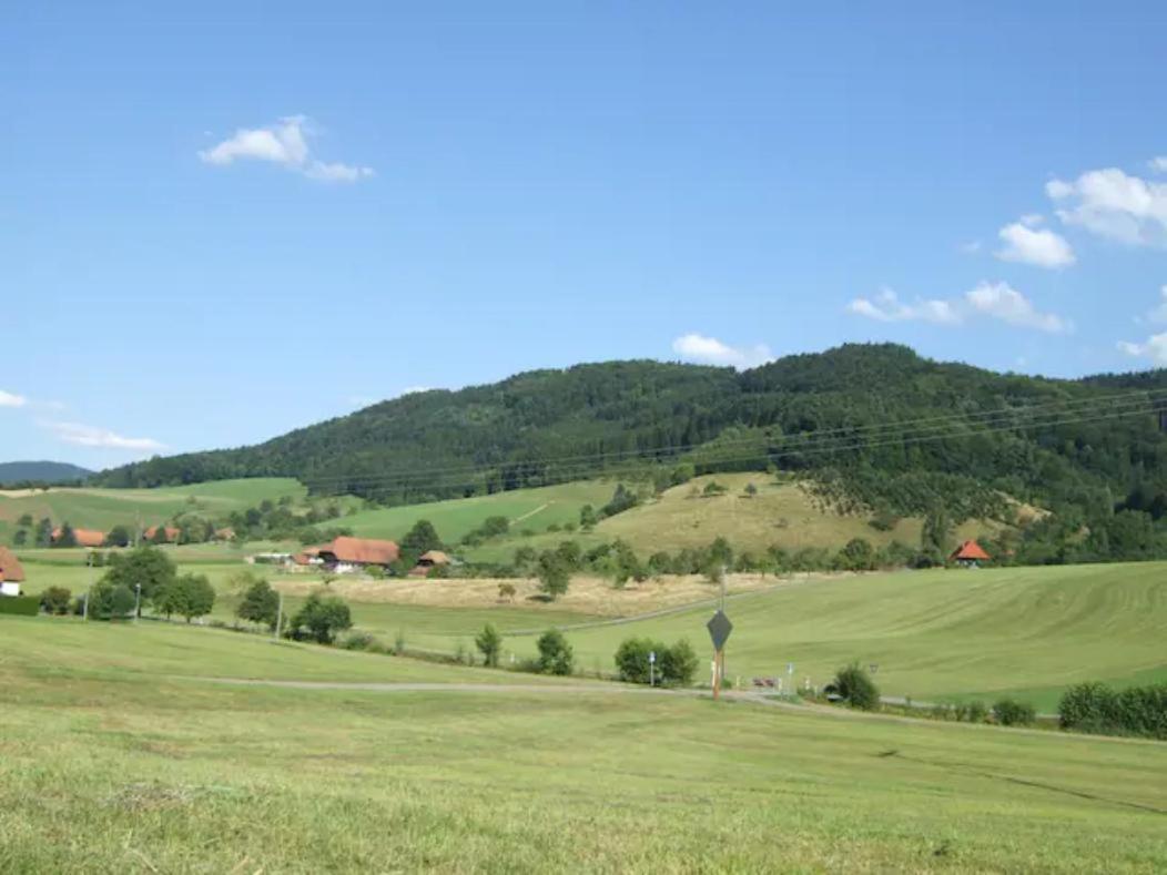 Sonniges-Naturnahes-Schwarzwald-Ferienhaeuschen Welschensteinach Exterior photo
