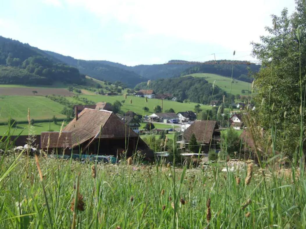 Sonniges-Naturnahes-Schwarzwald-Ferienhaeuschen Welschensteinach Exterior photo