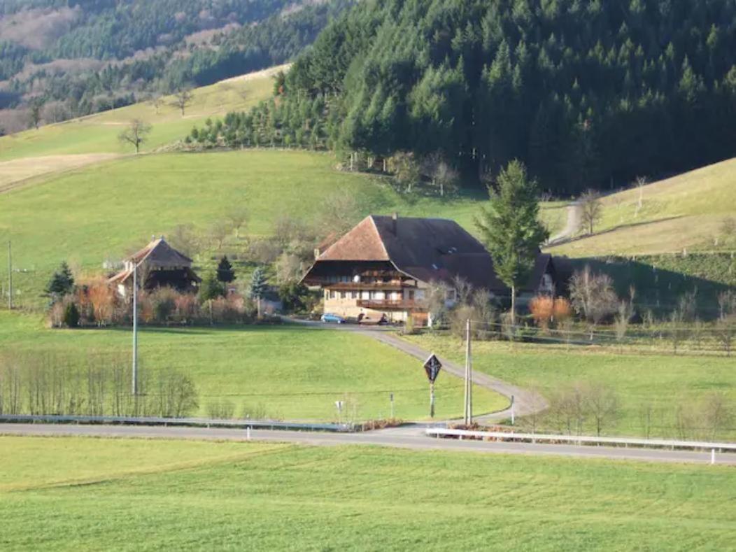 Sonniges-Naturnahes-Schwarzwald-Ferienhaeuschen Welschensteinach Exterior photo